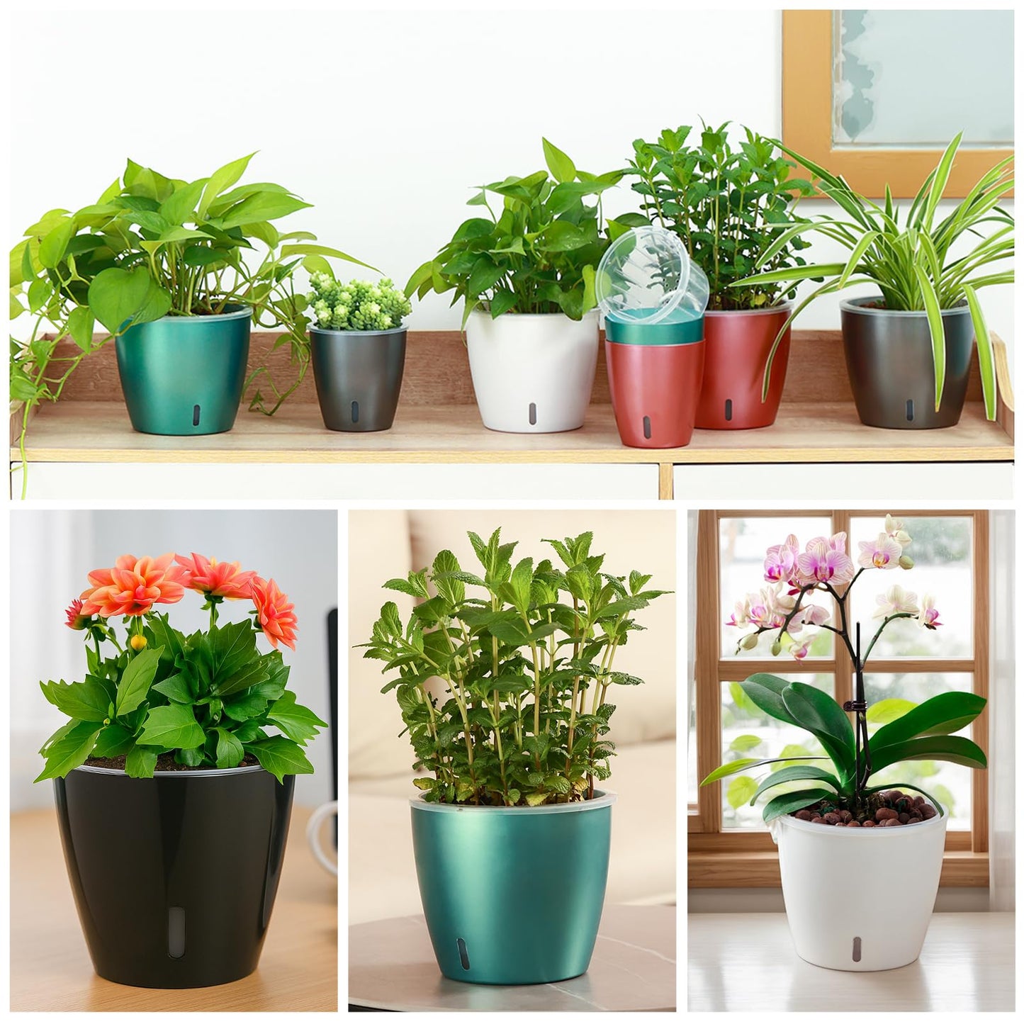 KvyusFlourish Self Watering Pots for Indoor Plants, 6-Pack 6.7'' Self Watering Planter with Drainage Holes, Small African Violet Pots with Water Indicator, Clear Wick Orchid Pot, Grey Gold