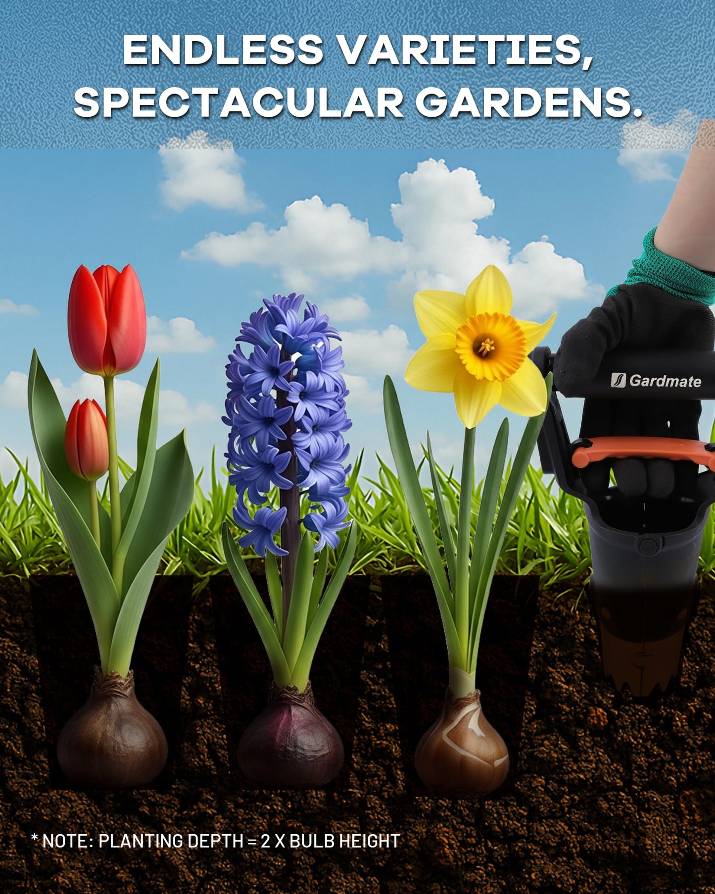 gardmate Bulb Planter Tool - One-Touch Automatic Bulb Planter for Bulbs, Seeds & Seedlings - Stainless Steel Garden Bulbs Dibber with Ergonomic Handle - No Bend Planting Tool with Gloves & Brush