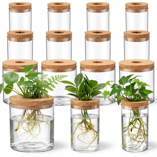 Acellegic 12 Pack Plant Propagation Station with Hole Lid Plant Propagation Jars Plants Plastic Propagations Stations Planter Vase Hydroponic Vases for Home Desktop Office Decoration, 3 Sizes