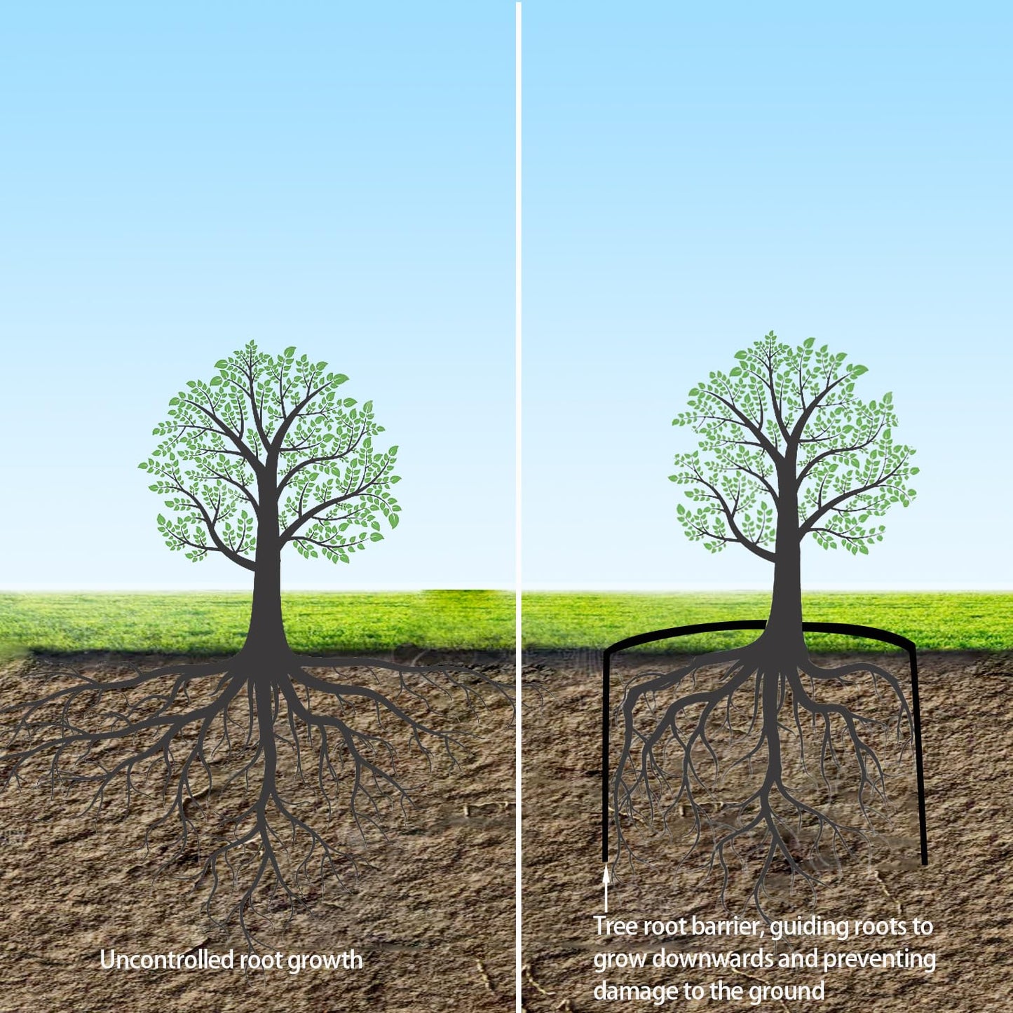 100ft x 30in x 80milTree Root Barrier Bamboo Barrier Rhizome Control Barrier for Landscaping and Protection Roads