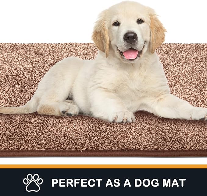 PURRUGS Dirt Trapping Door Mat 20" x 31.5", Non-Slip Machine Washable Entryway Rug, Dog Doormat, Indoor Front Door Mat, Super Absorbent Entry Rug for Muddy Shoes & Paws, Brown-Light Cream