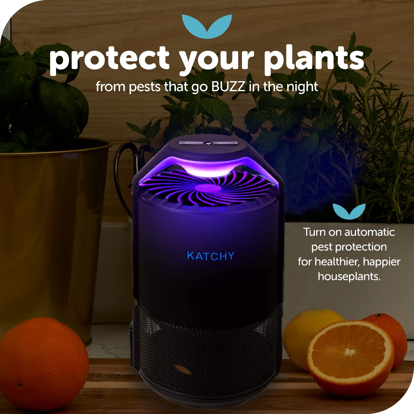 Katchy Midnight Indoor Insect Trap – Auto/Manual Mode – Blue Light & Fan Suction Catcher for Mosquito, Fruit Fly, Gnat, Fungus Gnat & Moth – Ideal for Kitchen & Indoor Plants (Black)
