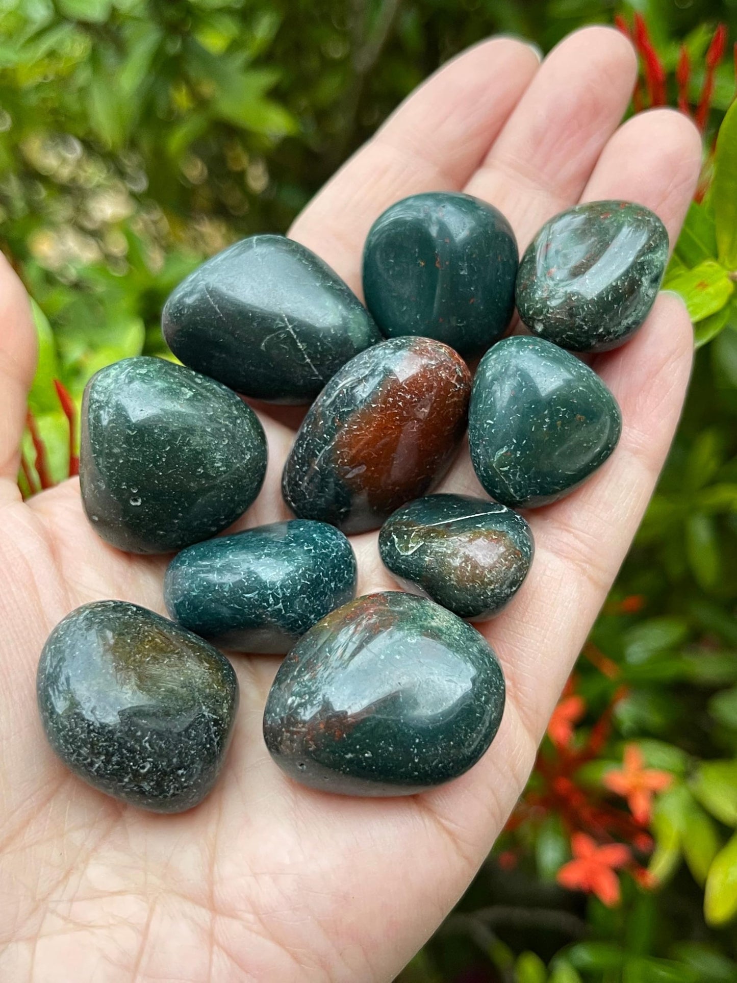 GAF TREASURES 5 Pcs Bloodstone Tumbled Stones, Polished Natural Bloodstone Gemstone, Bloodstone Healing Crystals (Bloodstone)