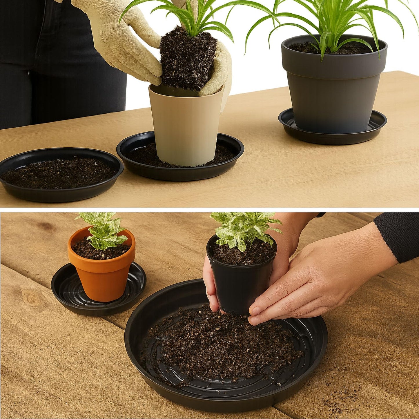 30 Packs 20" Extra-Large Plant Saucers for Indoor Outdoor Use Heavy Duty Plastic Plant Plate Dish for Planter Bulk Round Flower Pot Drip Trays to Catch Water 4 to 20 Inch, Black