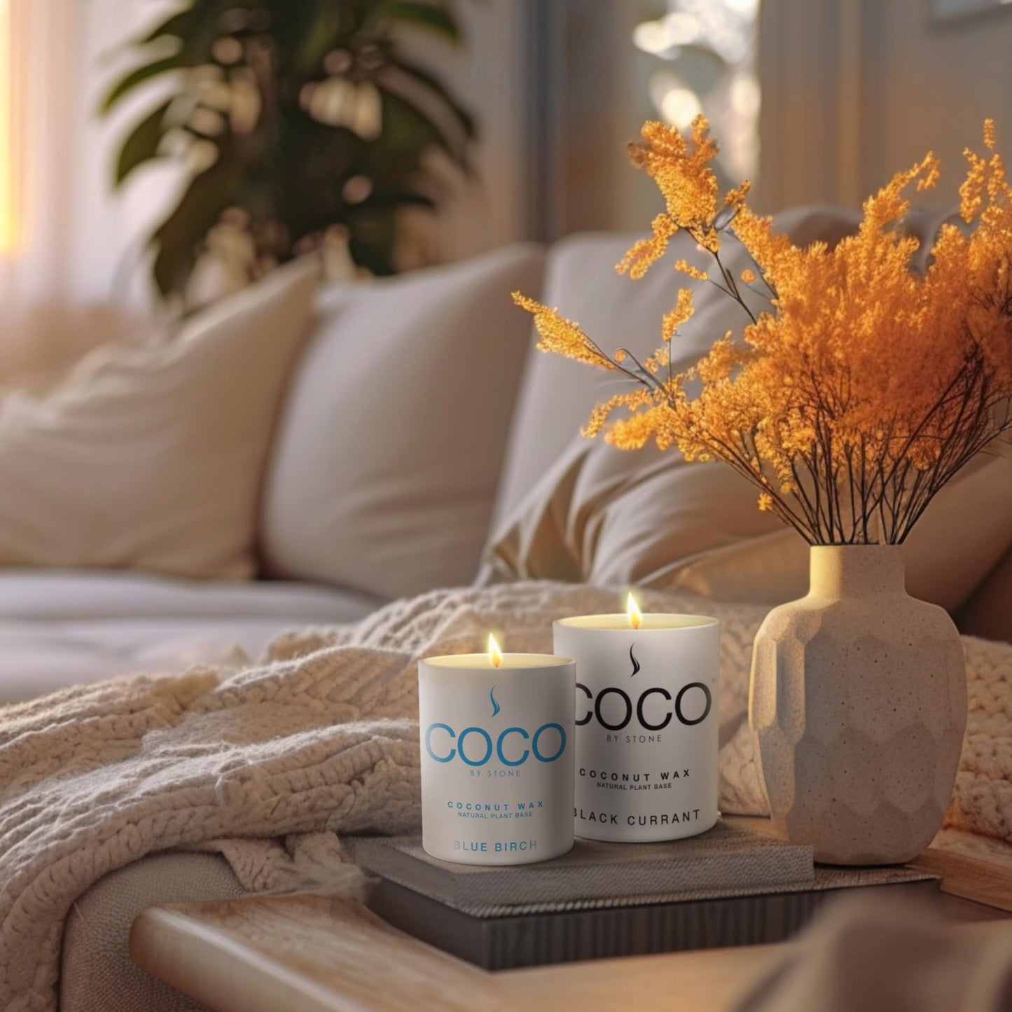 COCO by Stone 11oz Candle, Coconut Apricot Wax Candle for Home (Blue Birch) Home Fragrance Products, 1 Wick Candle, Enhance Indoor Aroma, Vegan & Cruelty-Free, Clean Burning and Hand Poured Candle