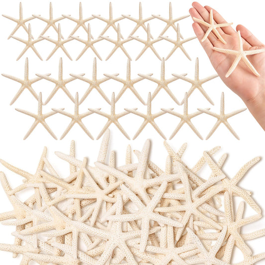 24 Pcs Starfish for Crafts, 2'' to 4'' Star Fish Shells Decorations, Natural Starfish Decor Bulk for Beach Theme DIY Crafts Christmas Tree Ornaments