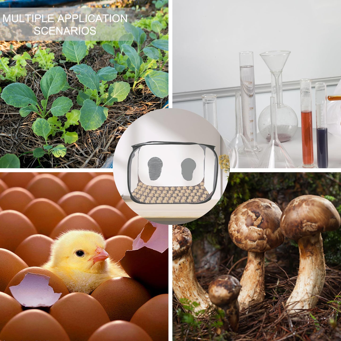Toboom Portable Still Air Box Mycology with Pop Up Mushroom Growing Kit - Ideal for Mushroom Cultivation in Office and Mycology Enthusiasts (Black)