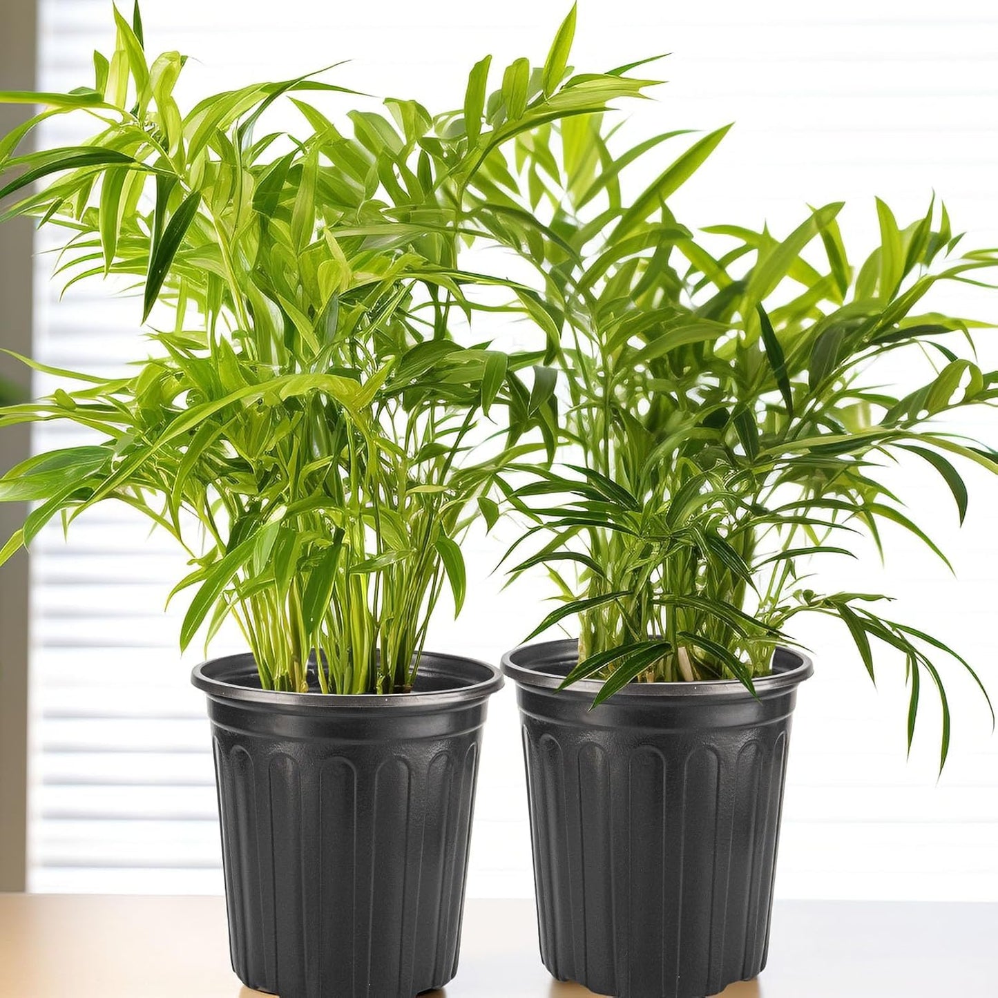 24Pack 2 Gallon Plant Nursery Pots, Thickened Soft Plastic Seedling Starter Pots, Plastic Plant Container with Drainage Hole for Indoor Outdoor Flower Seed,Succulents,Cuttings,Transplanting - Black