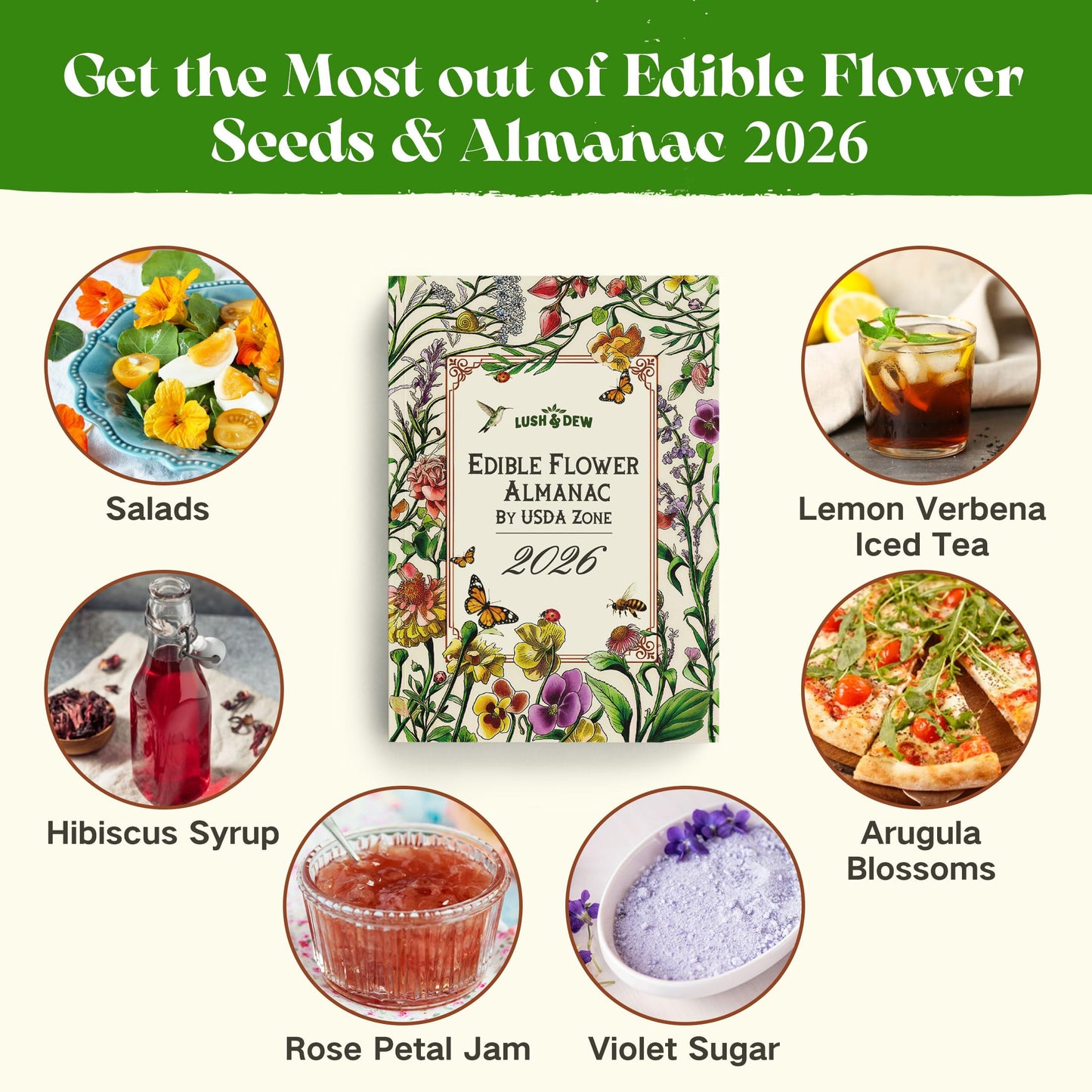 Lush&Dew Edible Flower Seed Bank with Almanac, Gardening Gifts for Women Men, 32 Types 30,000+ Non-GMO Heirloom Seeds for Planting Culinary Flowers, Survival Seed Kit, Annual Perennial, Zone 3-11