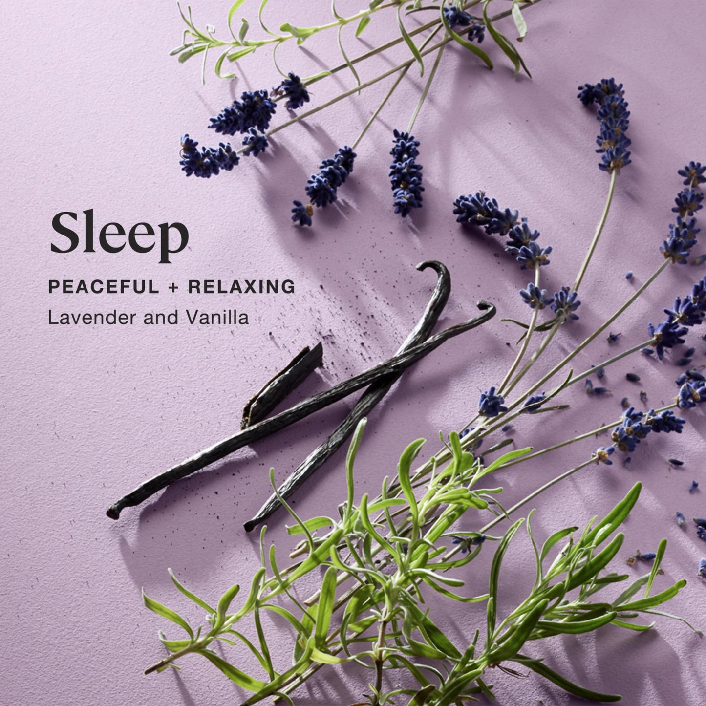 Sprig by Kohler Sleep Aromatherapy Candle with Lavender and Vanilla, 100% Natural Soy-Coconut Wax, Relaxing and Peaceful Scent, Gift for Holidays, 8 oz