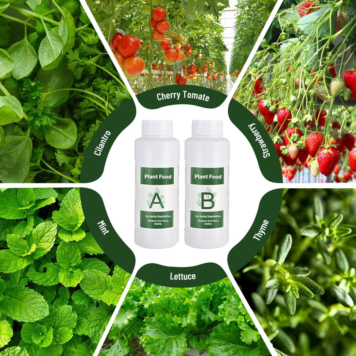 Tigvio 1000ml Hydroponic Nutrients A&B for Aerogarden Plant Food with 2 Measuring Cups - Fertilizer for Indoor Hydroponics Garden & Growing Vegetables, Fruits, Flowers (1000ml)