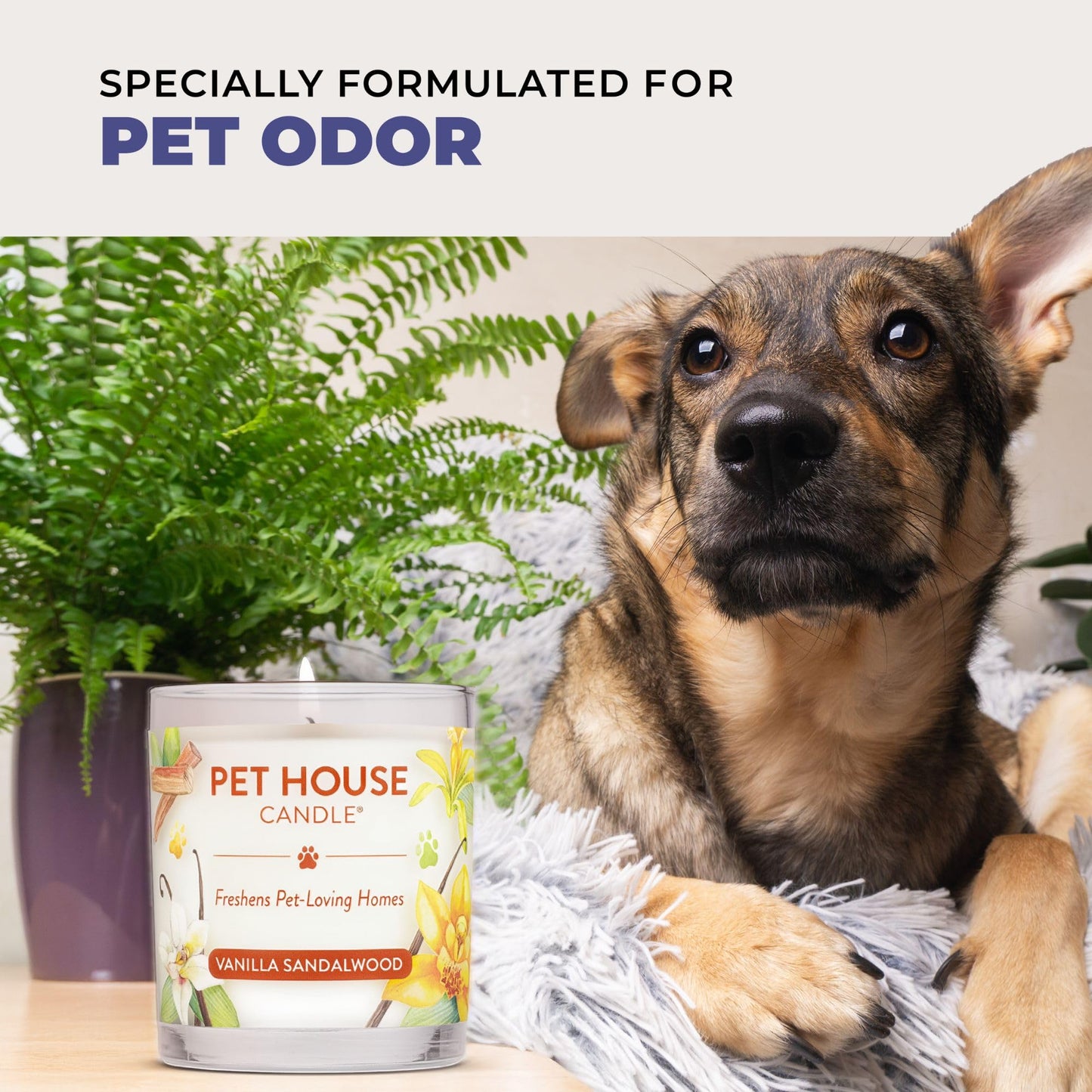 Pet House Candles, Plant-Based, Long Lasting, Pet Friendly Candles for Home, 60 Hour Burn Time - Herb Garden, 9 oz