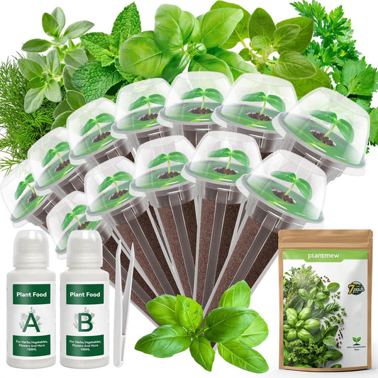 12-Pod Gourmet Herb Seed Kit Compatible with All Hydroponics, 7 Pack Varieties - Basil, Parsley, Thyme, Mint, Cilantro, Dill, Oregano - Universal Seed Starter Pods Easy to Grow, High Germination