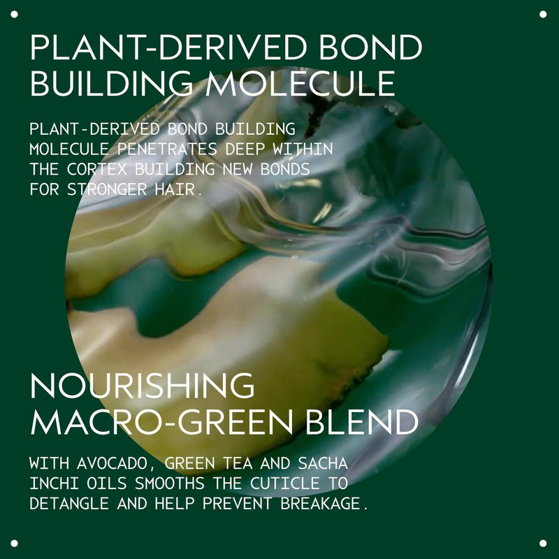 Aveda Botanical Repair Strengthening Shampoo & Conditioner Set | Strengthens & Repairs Damaged Hair | Helps Prevent Breakage | Bond-Building | Silicone Free | Includes 2 Full Size Products