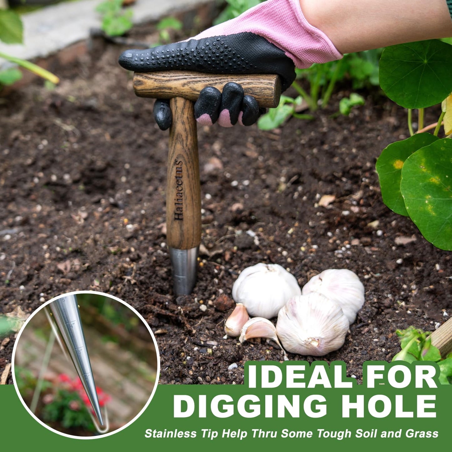 Haliaeetus Dibbler Gardening Tool with 5'' Measuring Scale, Easy to Grip L-Shaped Wood Handle Dibbler, Stamped Stainless Steel Tip Seed Dibber, 11.3'' Dibber for Sowing Seeds and Planting Seedlings