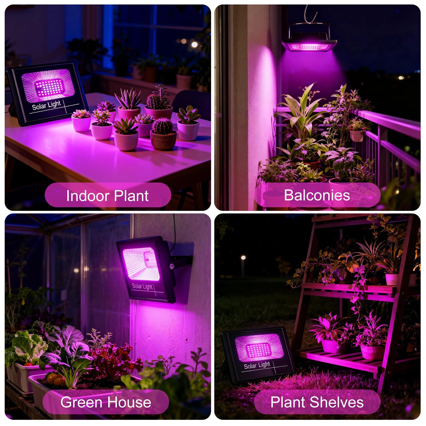 Loscarol Solar Grow Lights, Rechargeable Grow Light, Full Spectrum Plant Light for Indoor Outdoor Plants with Timer, Solar Plant Lights for Greenhouse with Remote Control and 16.4ft Cord/USB Charging