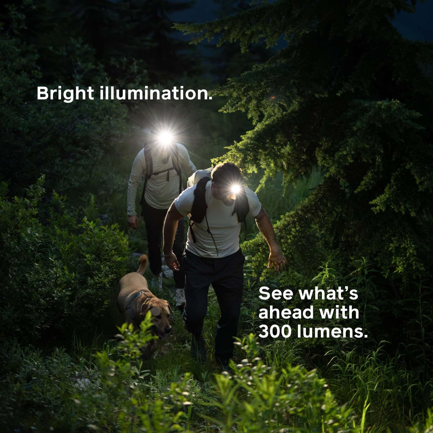 BioLite Range 300 Waterproof, Fast-Charging Rechargeable Headlamp, Wild Fig, 300 Lumens, USB-C Charging, 75m Beam, 100 Hour runtime