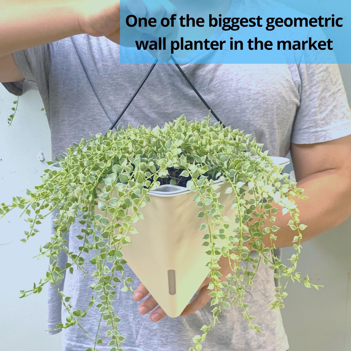 LaLaGreen Bundle- 10 Pack, 4 Inch White Metal Pot + 4 Pack, 12 Inch Geometric Self Watering Pot Modern Stylish Hanging Flower Vase Vessel Rail Porch Deck Window Herbs Plant Holder Indoor Garden Decor