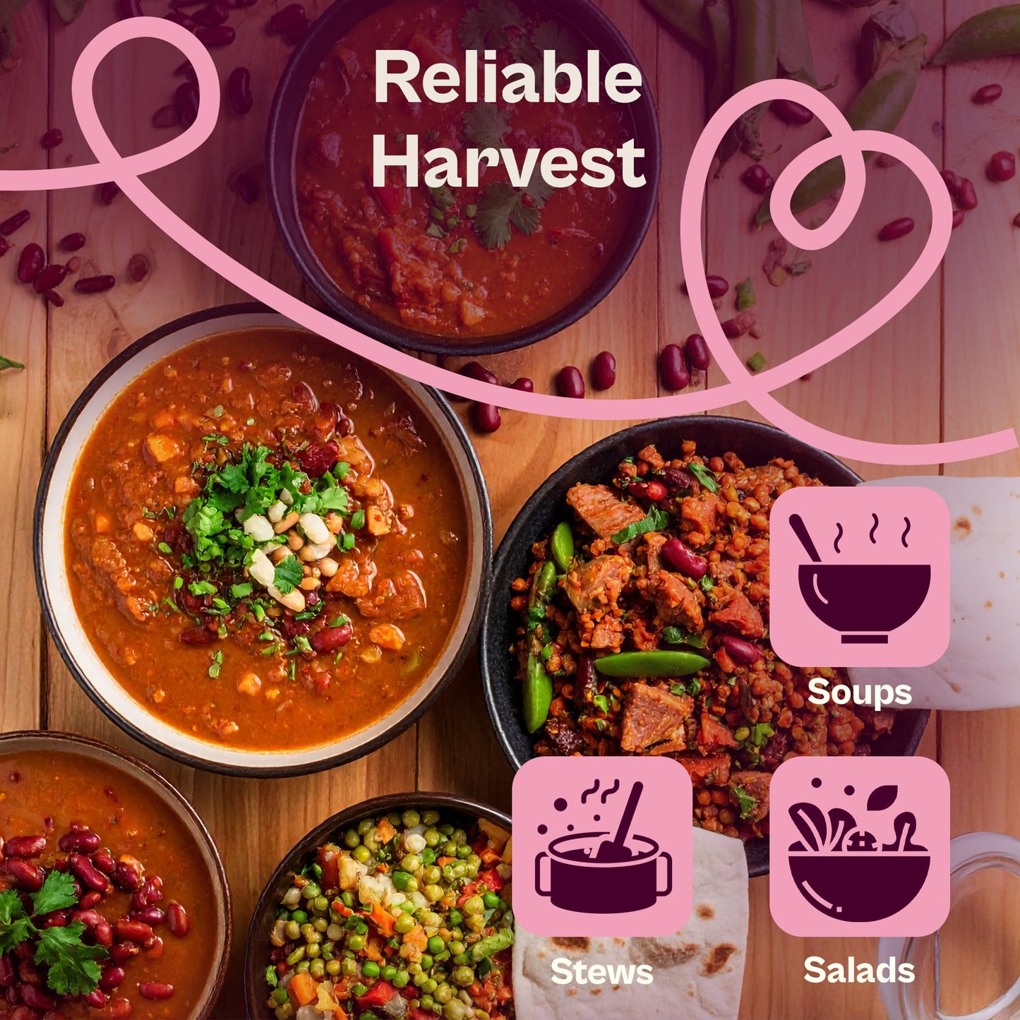 SVI 50 Dark Red Kidney Beans Seeds (Phaseolus vulgaris L.) – Rajma, Surkh Lobia, Heat-Tolerant, Protein-Rich – Heirloom Vegetable Seeds for Outdoor Garden & Raised Beds
