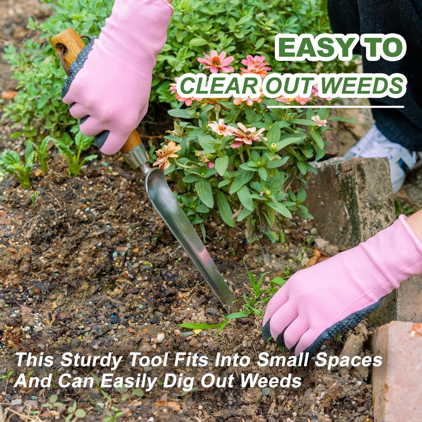 Haliaeetus Seeding Widger, Stainless Steel Garden Planting Trowel for Repotting, Long and Narrow Widger for Weeding from Tight Areas, Hand Transplanter with Wood Handle for Planting, Weeding, Digging