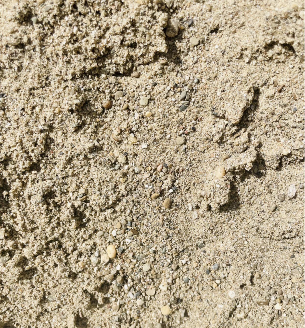 Gravel Company Coarse Sand, Washed, for Drainage, Base Layer, and Concrete Mix (40 lbs)