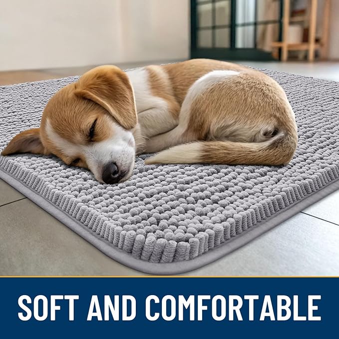 Smiry Dog Door Mat for Muddy Paws 24x16, Absorbs Moisture and Dirt Doormat, Non-Slip Washable Quick Dry Chenille Front Door Mat Indoor Entrance, Entryway Carpet for Inside Floor, Light Grey