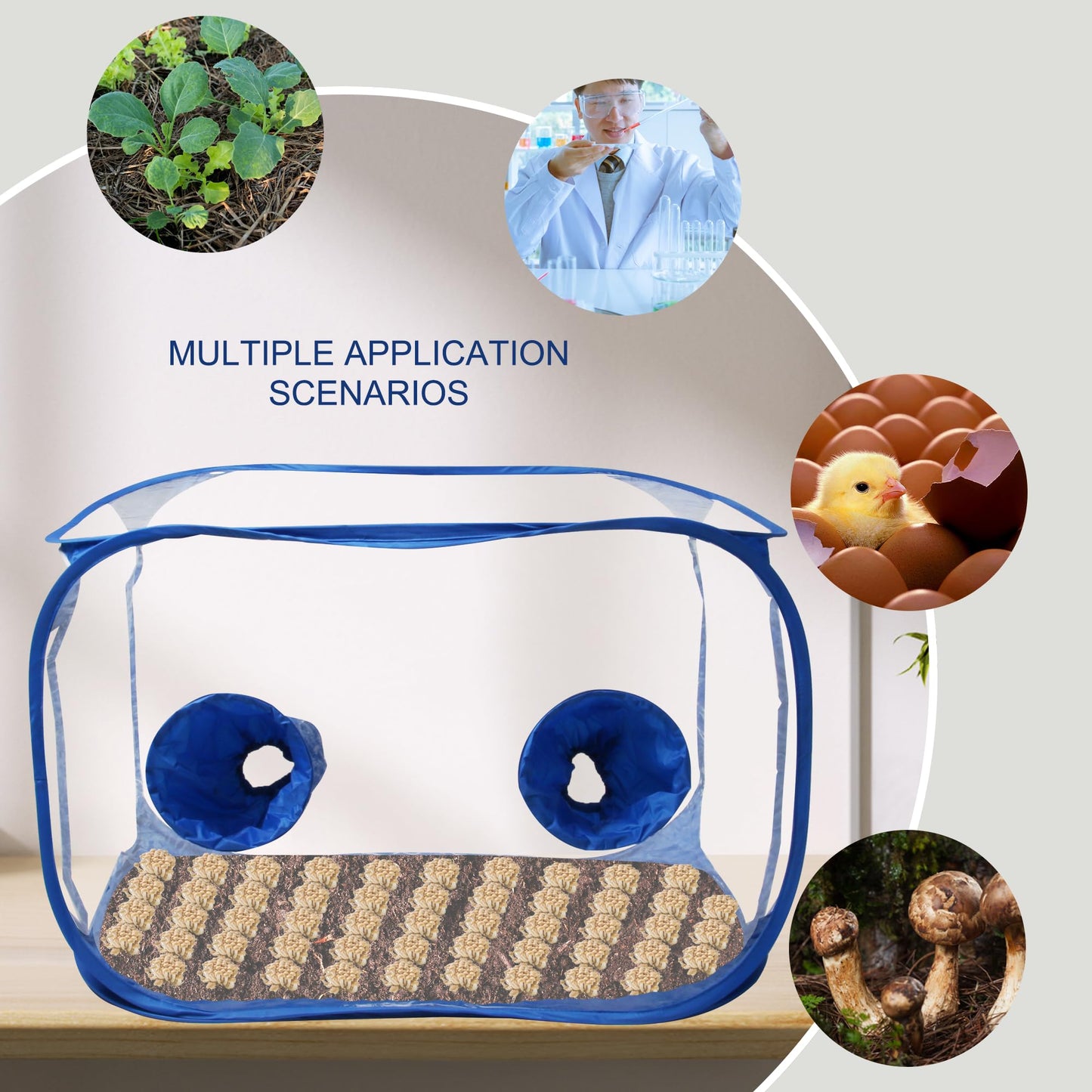 Toboom Portable Still Air Box Mycology with Pop Up Mushroom Growing Kit - Ideal for Mushroom Cultivation in Office and Mycology Enthusiasts (Blue)