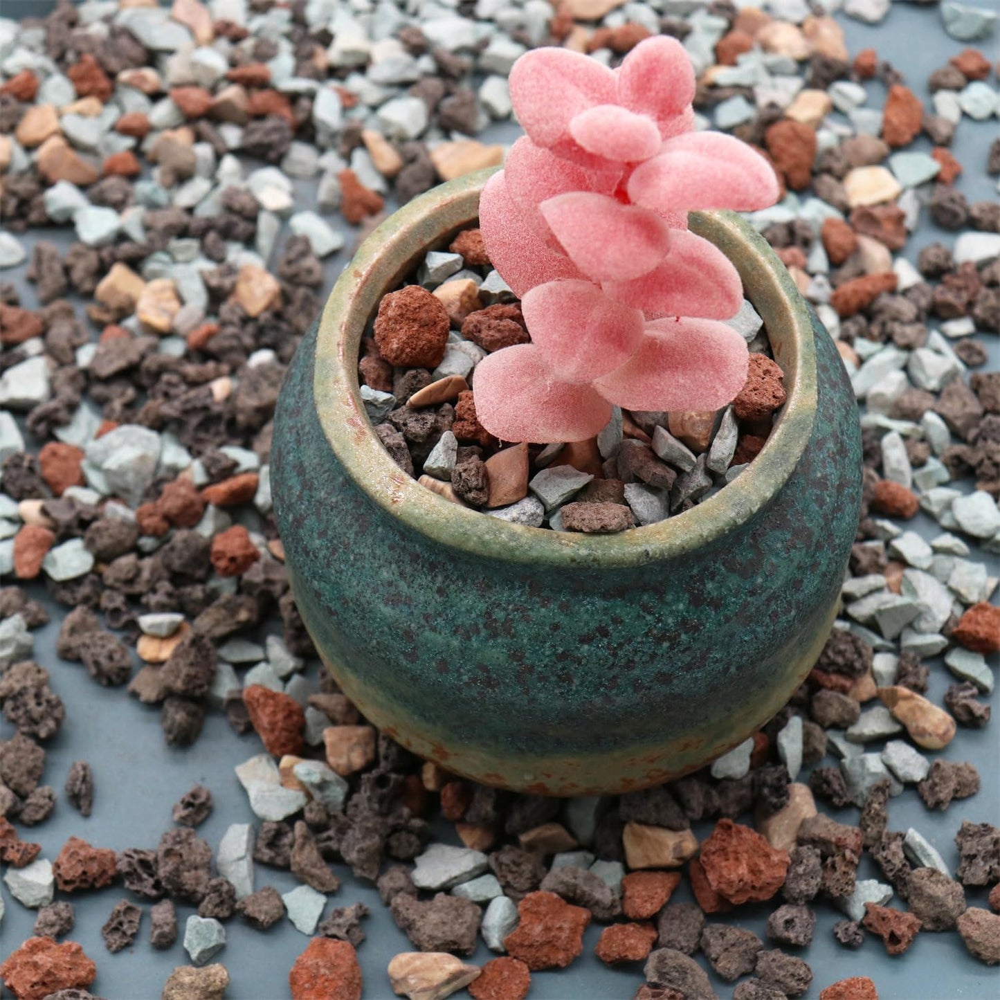 Volcanic Rock for Plants. Gritty Mix. Mixed Color Lava Rock. 1/5 Inch - 10 lbs for Potting Succulents, Pots, Plants, Gardening, Indoor, Crafting, Vase Fillers