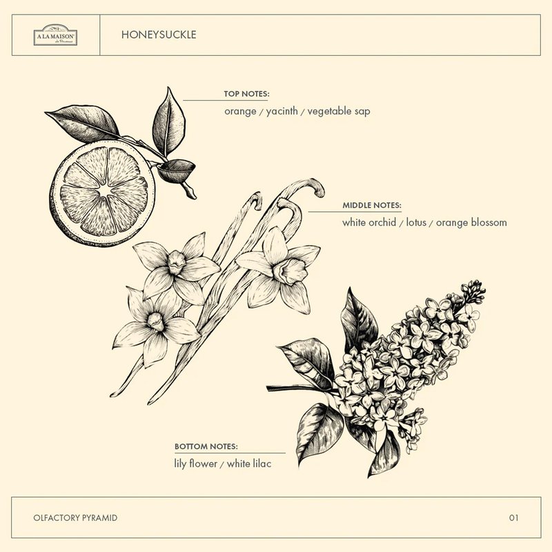 A LA MAISON Honeysuckle French Liquid Hand Soap - Natural Hand Wash Made with Essential Oils - Biodegradable, Plant-Based, Vegan, Cruelty-Free, Alcohol & Paraben Free (16.9 oz, 3 Pack)