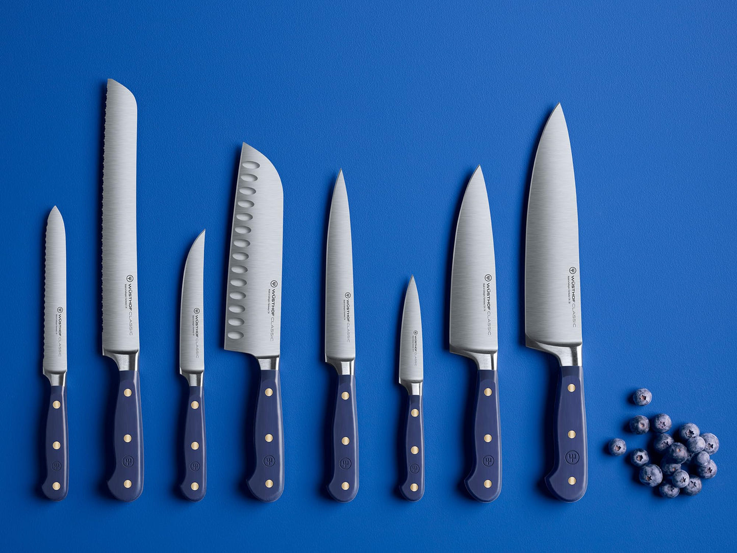 WÜSTHOF Classic Wild Blueberry 4-Piece Steak Knife Set