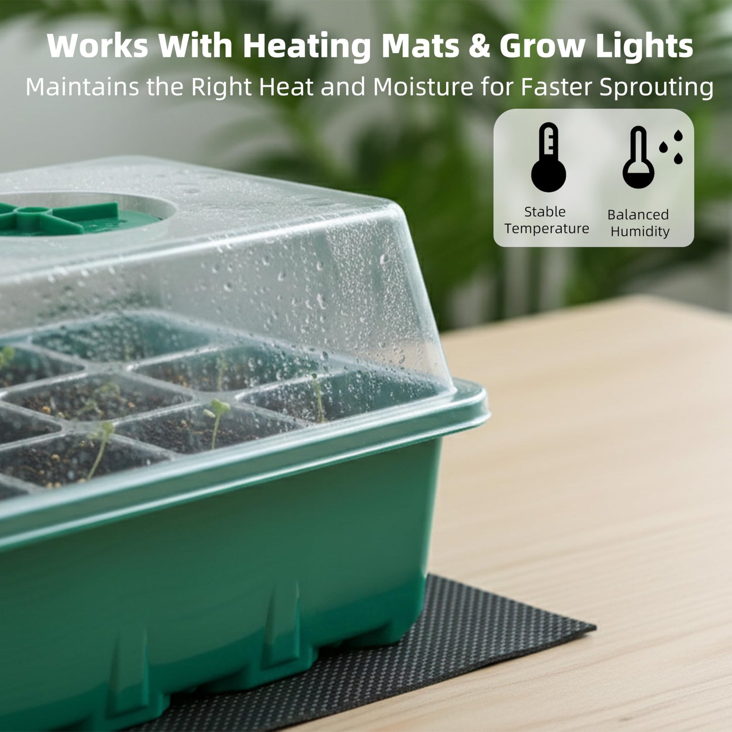 Garplaolao 10 Pack 120 Cells Seed Starter Trays with Ventilation Holes - Reusable Seedling Starter Kit for Vegetables, Herbs, Flowers - Indoor Gardening, Plant Germination & Seed Starting (Green)