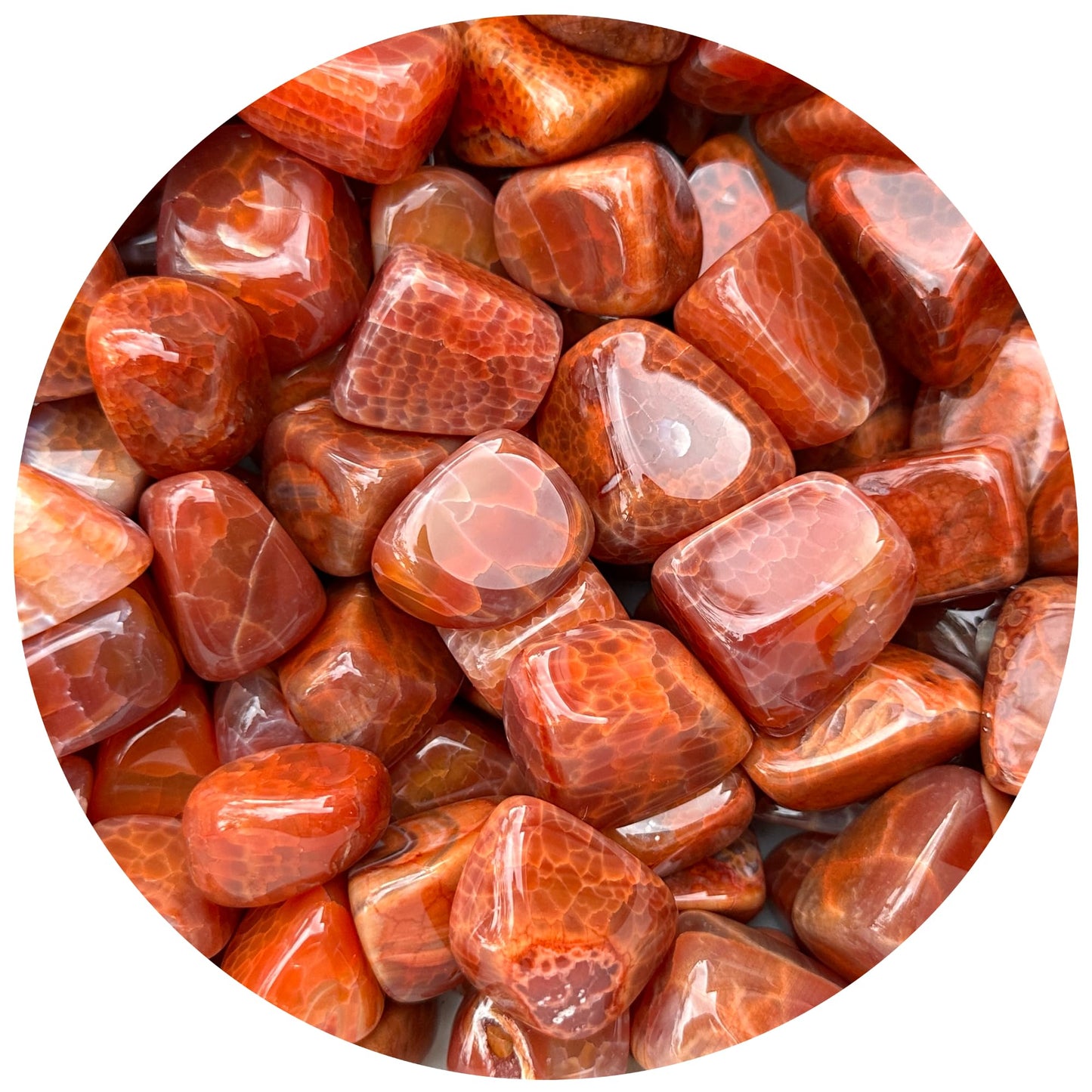 Wholesale Tumbled Fire Agate Stones, Polished Fire Agate Rocks (0.25 Pound)