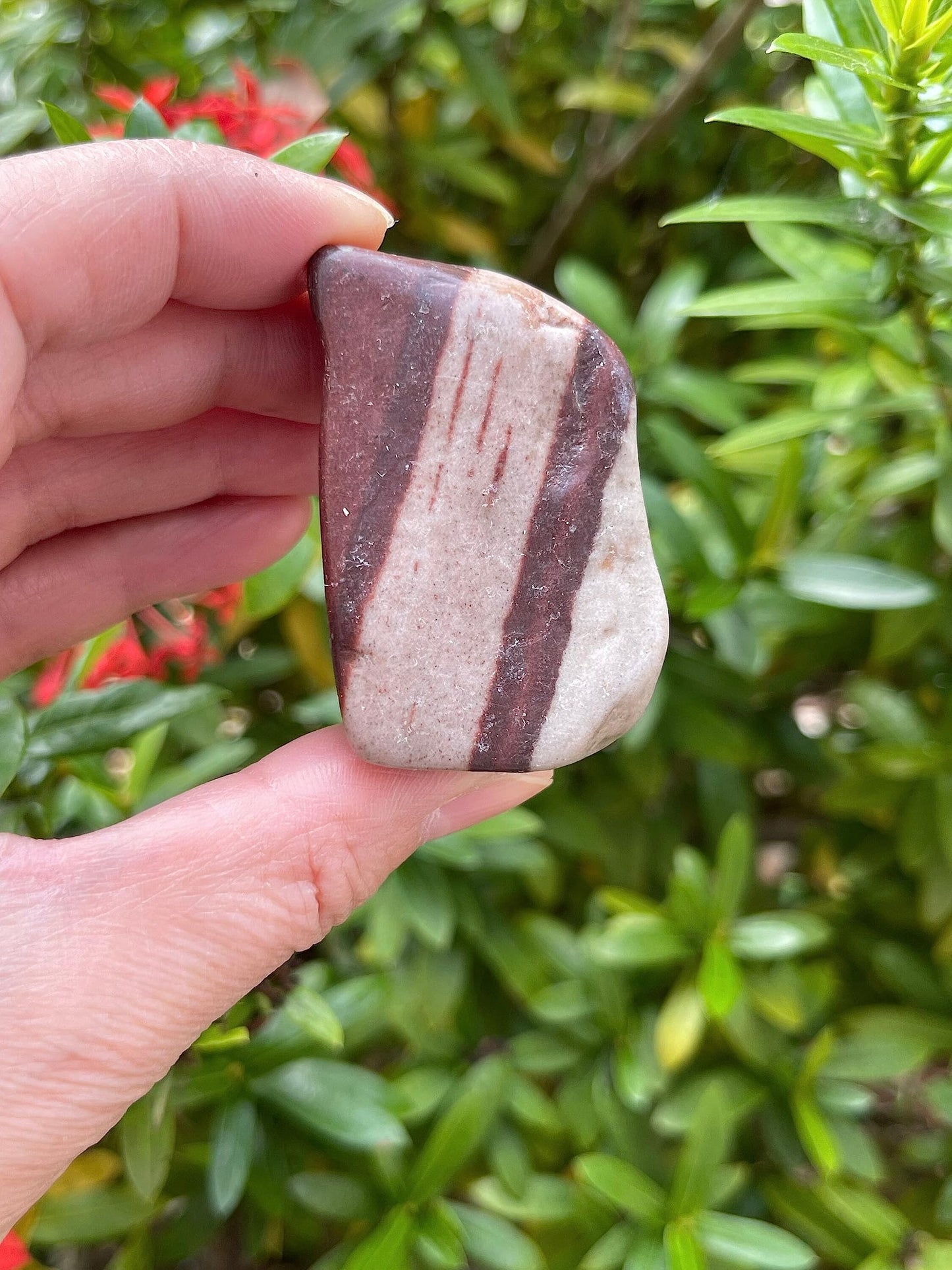 GAF TREASURES 5 Pcs Shiva Lingam Tumbled Stones, Polished Shiva Lingam Gemstone, Shiva Lingam Healing Crystals (Shiva Lingam)