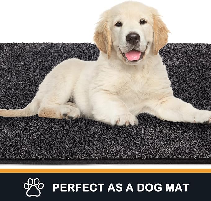 PURRUGS Dirt Trapping Door Mat 20" x 31.5", Non-Slip Machine Washable Entryway Rug, Dog Doormat, Indoor Front Door Mat, Super Absorbent Entry Rug for Muddy Shoes & Paws, Charcoal