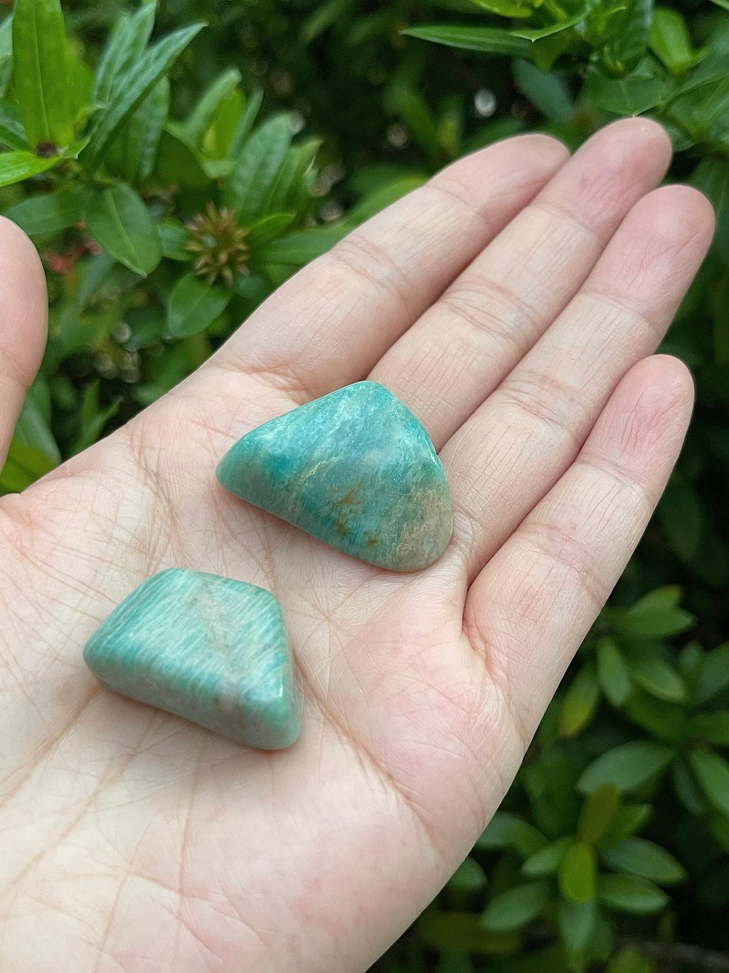 WHOLESALE Amazonite Tumbled Stones, Polished Amazonite Gemstone, Amazonite Polished Rocks (Amazonite, 0.25 Pound)