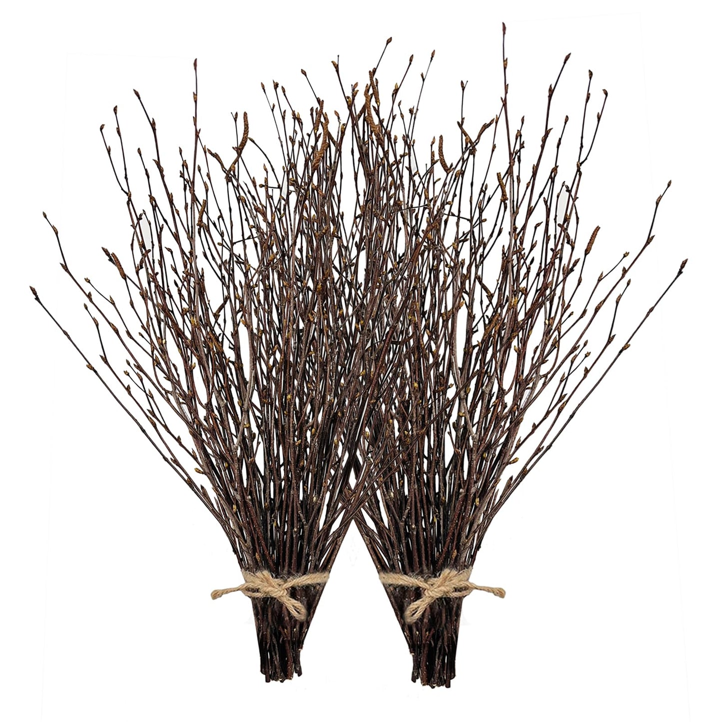 17 Inch Natural Birch Branches Dried Birch Twigs Wreath Making Supplies Dried Plants for Rustic Home Decor Easter Stems Vase Filler DIY Crafts Vases Tall Wreath Christmas Decoration Wedding (100Pcs)