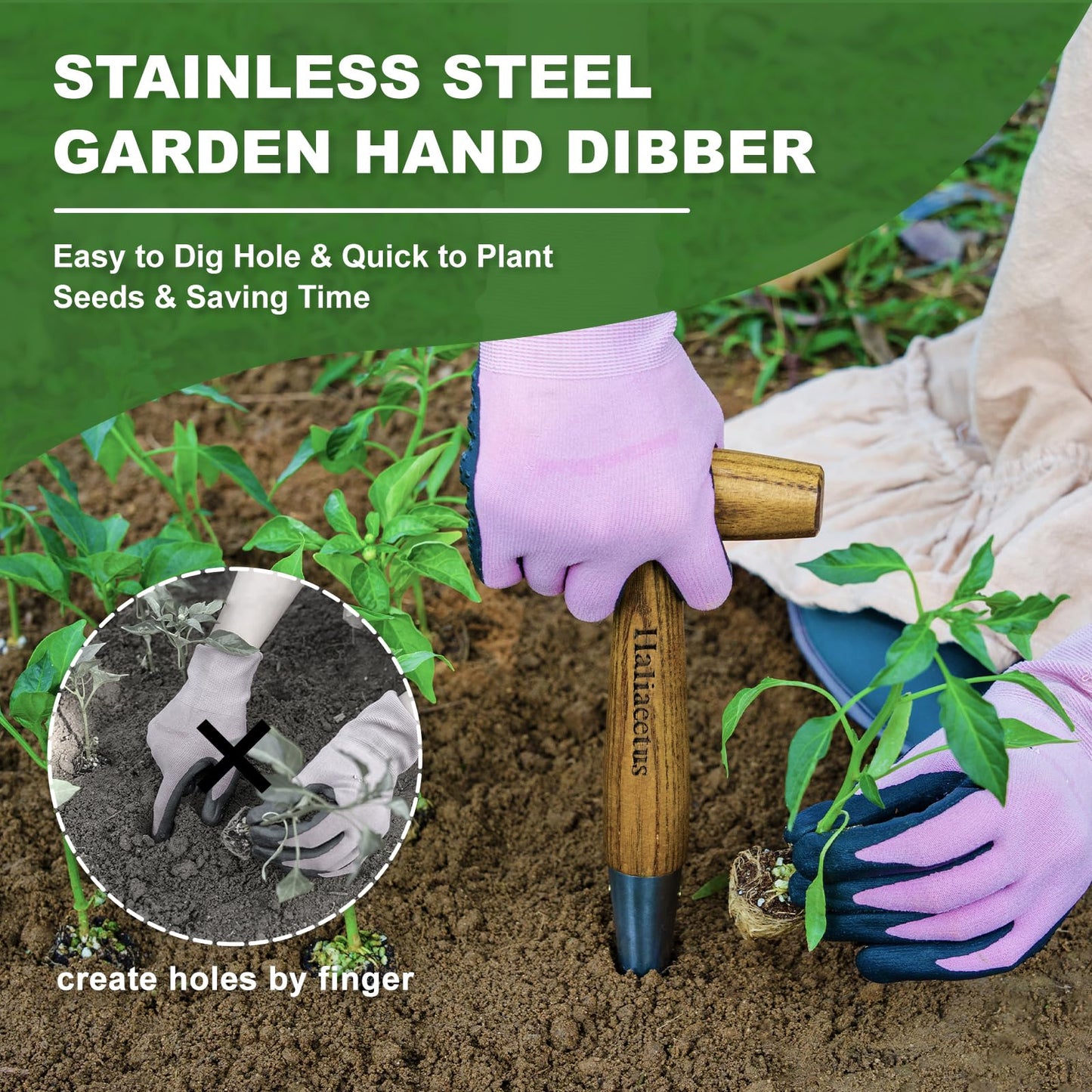 Haliaeetus Dibber Garden Tool, Stamped Stainless Steel Tip Seed Dibber, Smooth Splinter-Free T-Shape Wood Handle Dibbler with Comfortable Grip, 11'' Dibber for Planting Seed and Transplanting Seedling