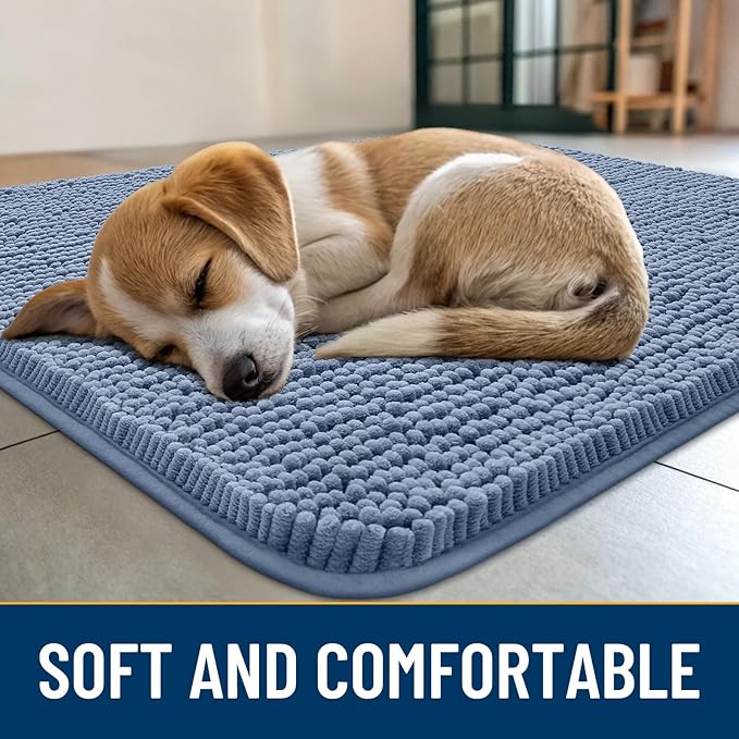 Smiry Dog Door Mat for Muddy Paws 24x16, Absorbs Moisture and Dirt Doormat, Non-Slip Washable Quick Dry Chenille Front Door Mat Indoor Entrance, Entryway Carpet for Inside Floor, Airy Blue