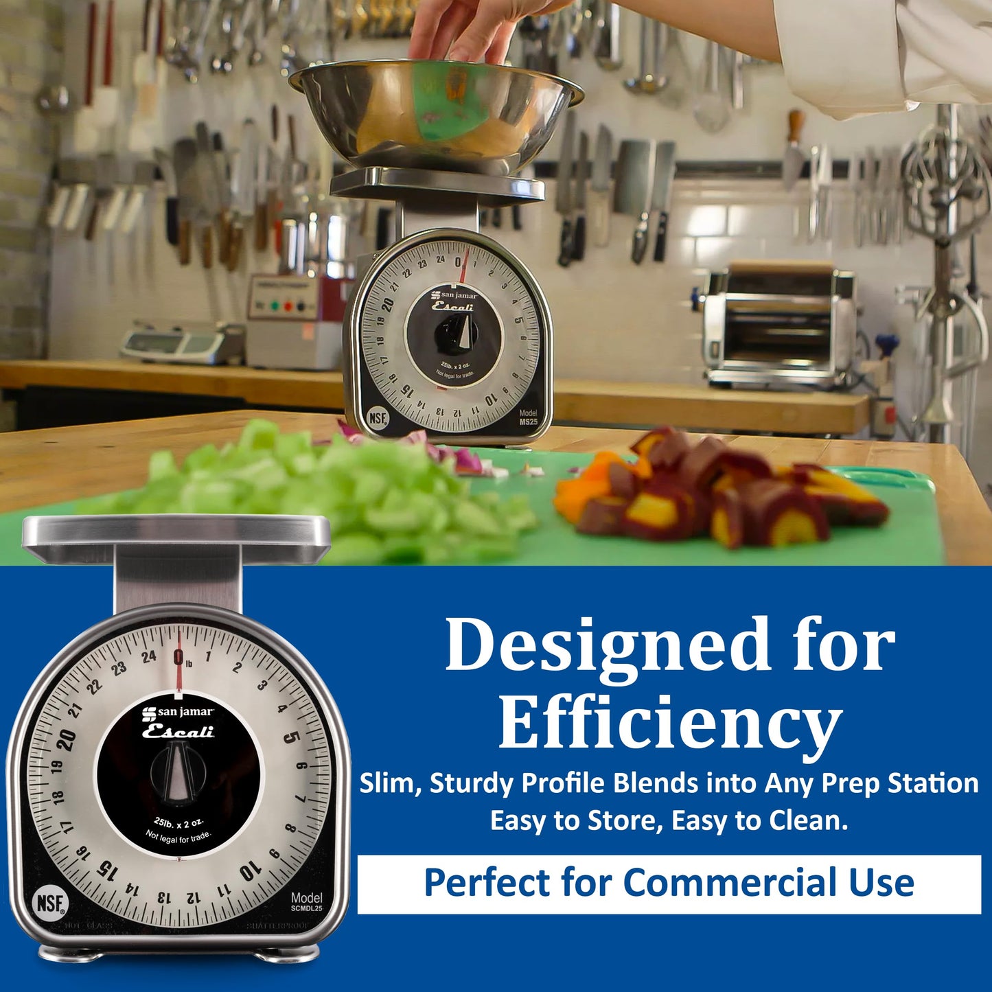 San Jamar Ms Series Mechanical Dial Scale Manual Food Scale with 2 Pound Capacity for Kitchens, Restaurants, And Cooking, Metal, 32 Ounces, Silver