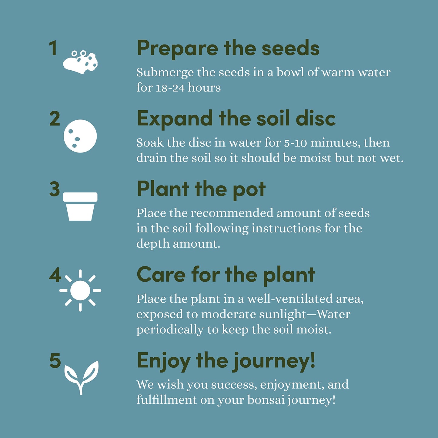 Bonsai Starter Kit - Gardening Birthday Gifts for Women & Men - Bonsai Tree Growing Garden Crafts Hobby Kits for Adults, Unique DIY Hobbies for Plant Lovers - Unusual Gifts Ideas Mom, Her, Friend