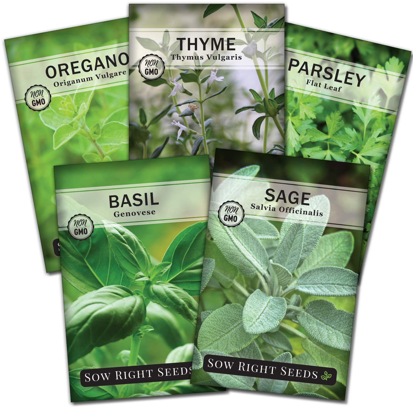 Sow Right Seeds - Italian Herb Garden Seed Collection for Planting - Basil, Oregano, Parsley, Sage, and Thyme - Non-GMO Heirloom Packet with Instructions to Grow a Kitchen Garden Indoors or Outdoors