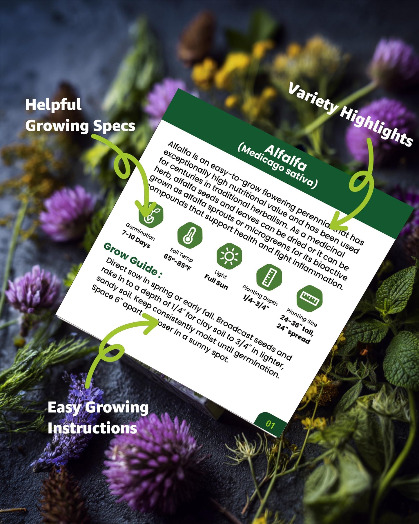 Medicinal Herb Seeds Variety Pack - 36 Non-GMO Herbal Tea Garden Seeds: Chamomile, Lavender, Echinacea, Yarrow, Mugwort for Planting Indoor & Outdoor, Apothecary & Homesteading Supplies
