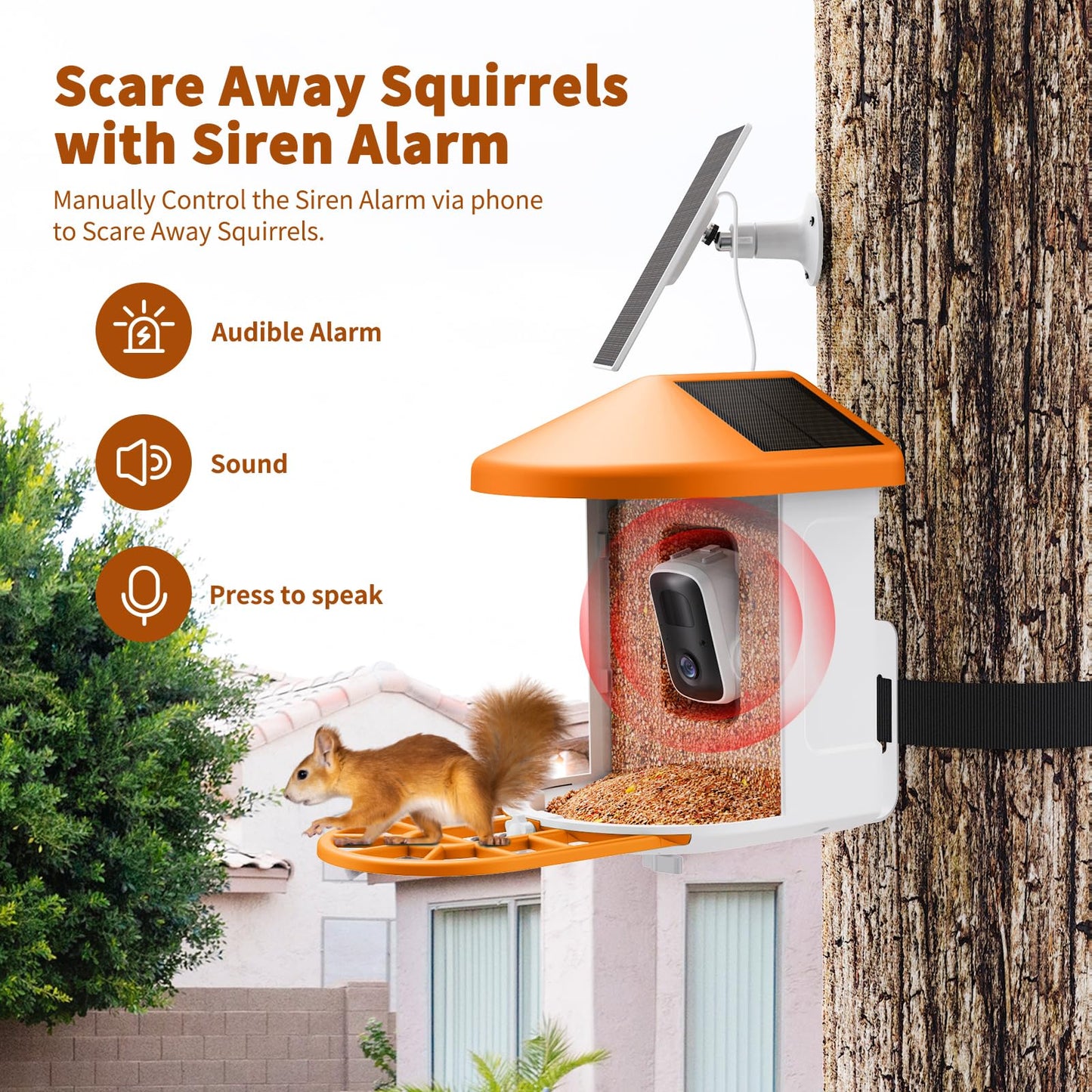 HARYMOR Bird Feeder with Camera with AI Identify Birds Species Solar Panel, Live View, Instant Arrival Alerts