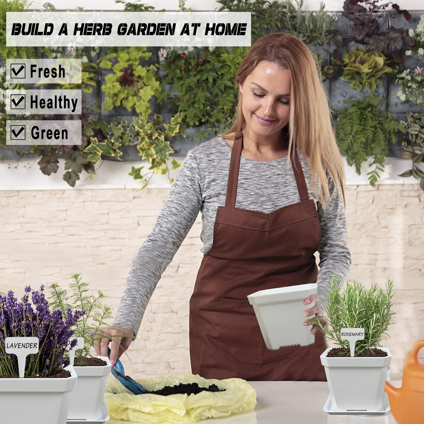 Meekear 10 Herb Seeds Garden Starter Grow Kit with White Pots, Markers, Nutritional Soil, Watering, Herb Clipper, Complete Indoor Potted Plant Growing Set for Kitchen DIY
