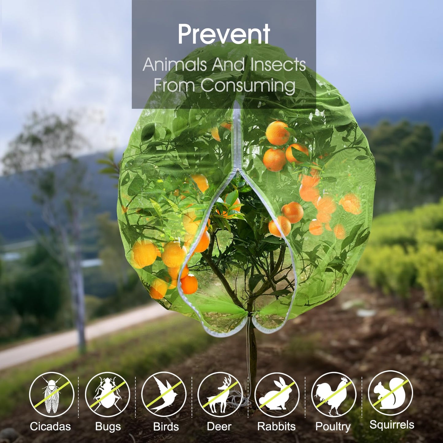 Fruit Tree Netting, RIFNY 3.3 x 2.6 FT Blueberry Bush Netting Cover with Zipper Drawstring, Outdoor Mosquito Net Garden Netting Protector Plant from Birds Cicadas Animals Insect (4 PCS, Green)