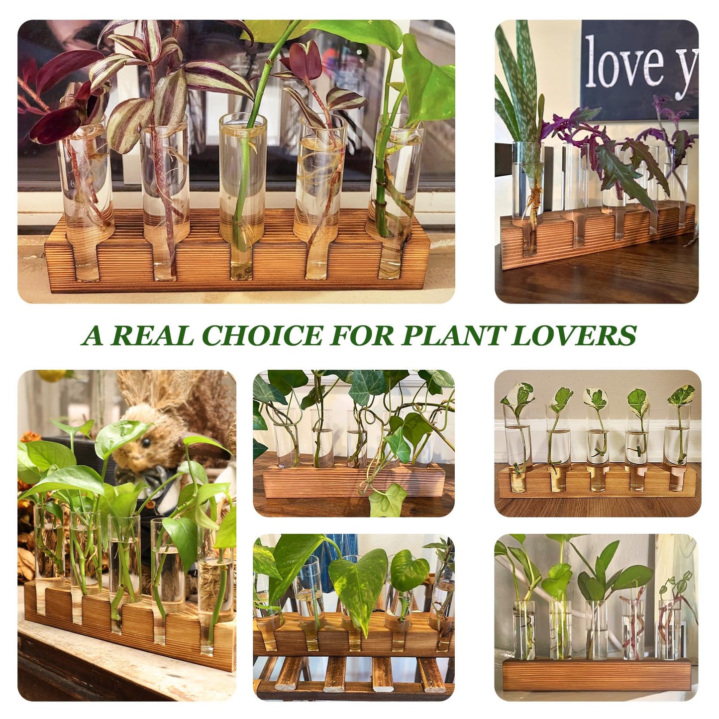 Renmxj Plant Propagation Station, Plant Terrarium with Wooden Stand for Hydroponics Plants Office Decor Unique Gardening Gifts for Women Plants Lovers - 10 Glass Test Tube Vases