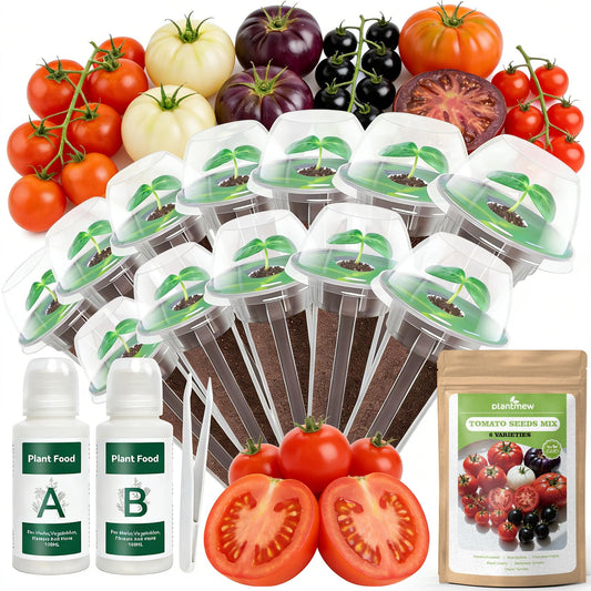 12-Pod Tomato Seed Kit Compatible with All Hydroponics, 6 Pack Varieties: Cherry Tomato, Beefsteak, Black Cherry, Cherokee Purple, Sweet Million, Brandywine, Easy to Grow, High Germination