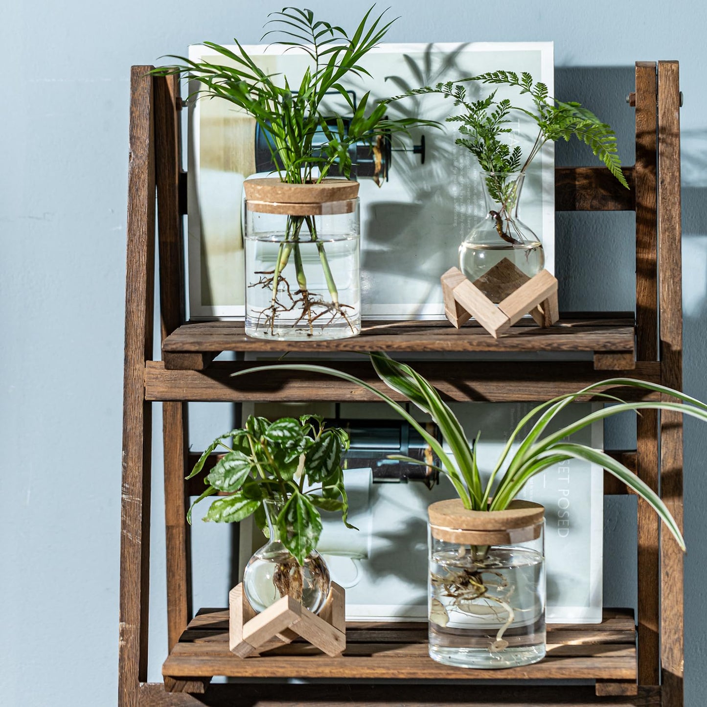 JGKYLDZ Plant Propagation Station, 2 Style Glass Planter Terrarium Set for Hydroponic Plants | Home Office Tabletop Decor, Gardening Gifts for Women, Mom, Plant Lovers (6)