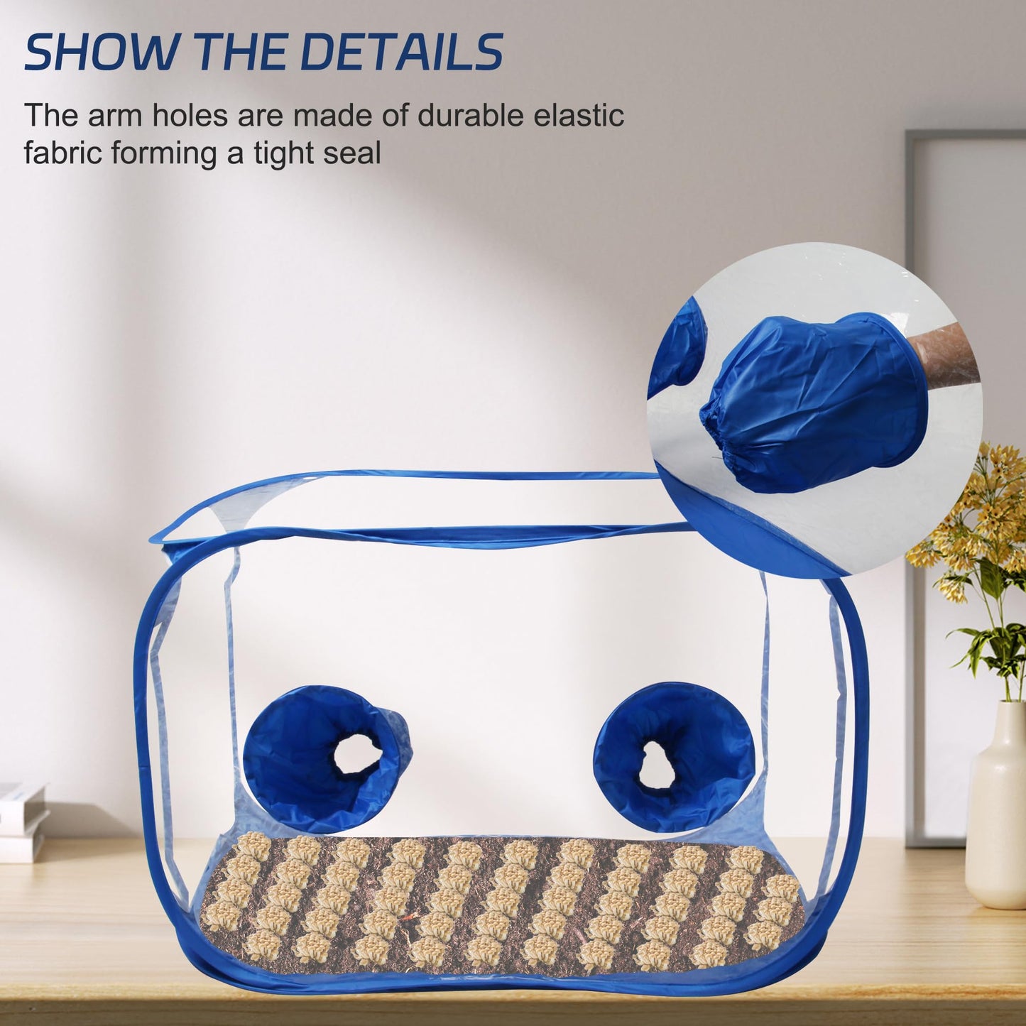 Toboom Portable Still Air Box Mycology with Pop Up Mushroom Growing Kit - Ideal for Mushroom Cultivation in Office and Mycology Enthusiasts (Blue)