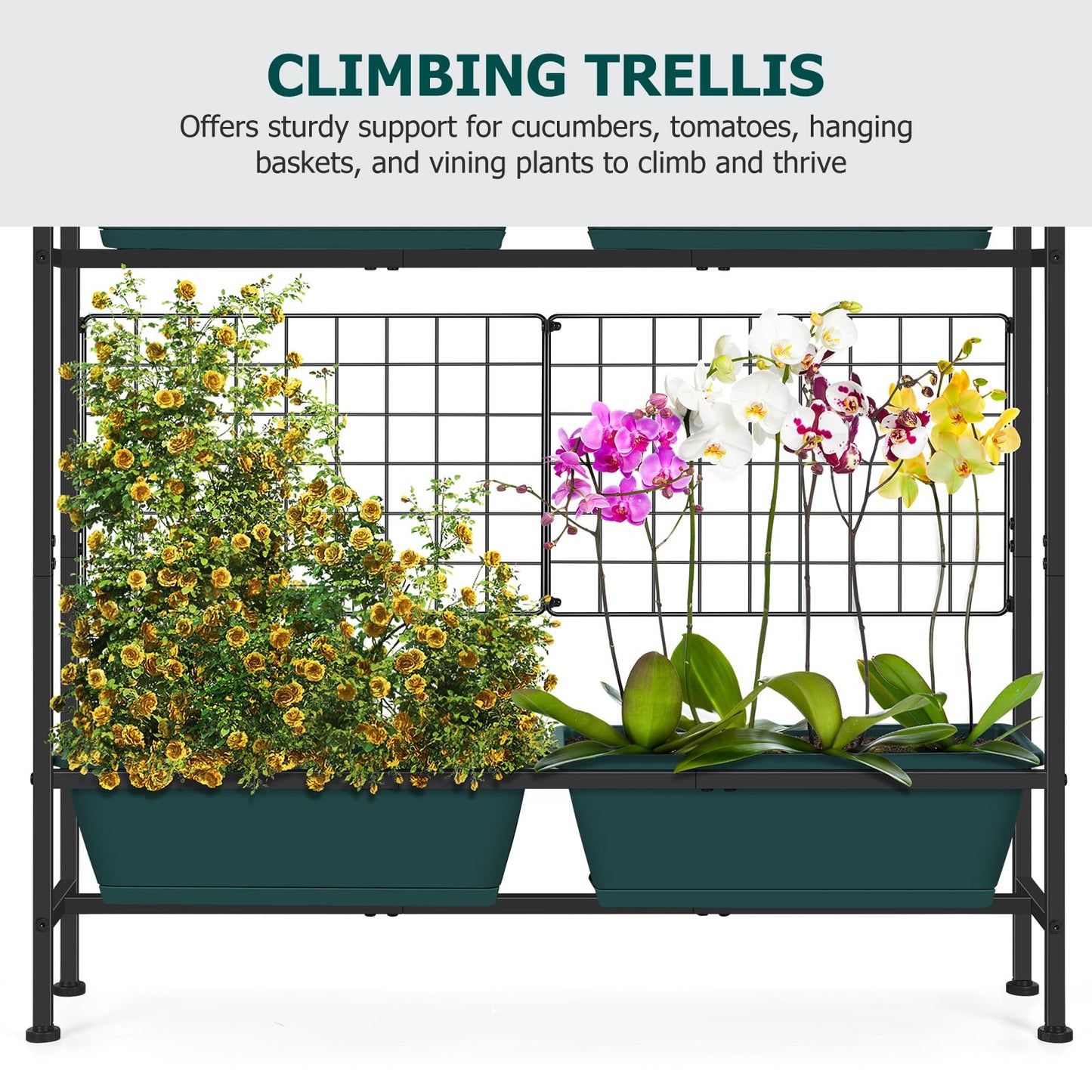 OYEAL Raised Garden Bed with Legs & & Trellis 32" Tall Vertical Herb Garden Planter Indoor Outdoor Elevated Flower Beds for Gardening, Vegetables, Herbs, Patio, Balcony, Backyard, Green
